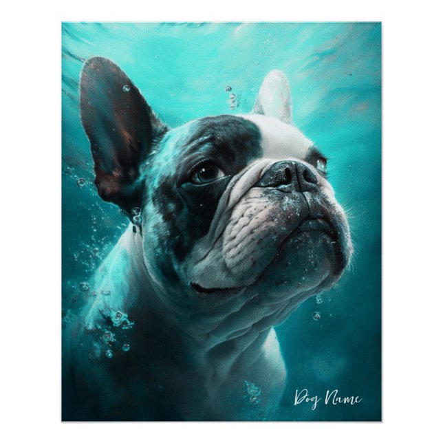 French Bulldog swimming in water 011 Poster (Vorderseite)