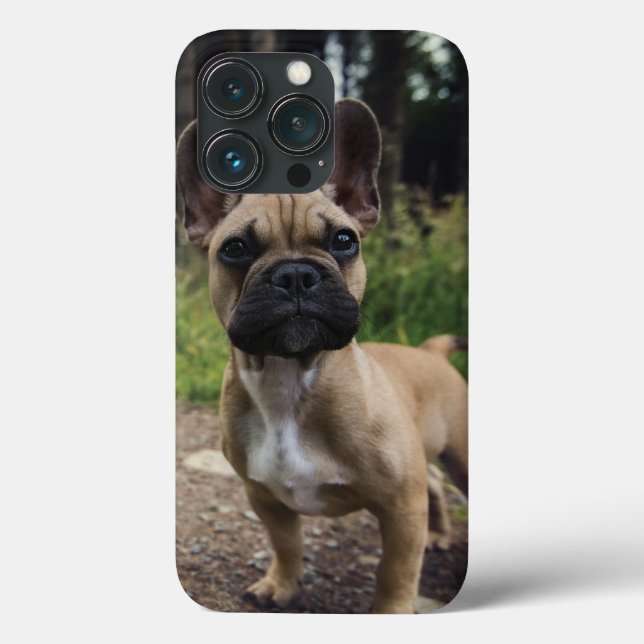 French Bulldog Throw Pillow Case-Mate iPhone Hülle (Rückseite)