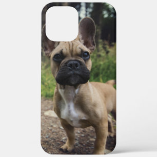 French Bulldog Throw Pillow Case-Mate iPhone Hülle