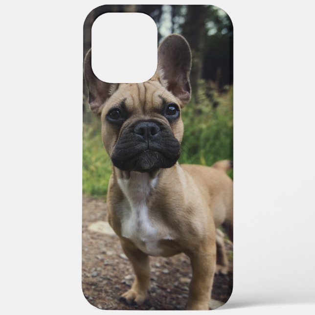 French Bulldog Throw Pillow Case-Mate iPhone Hülle (Rückseite)