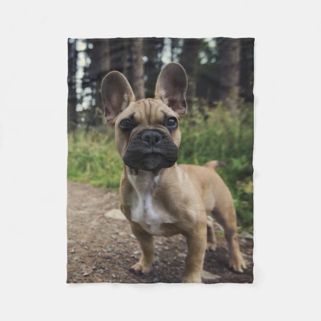 French Bulldog Throw Pillow Fleecedecke (Vorderseite)