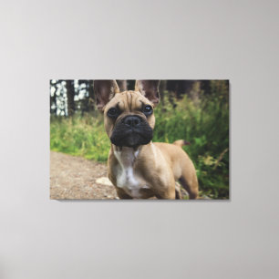 French Bulldog Throw Pillow Leinwanddruck