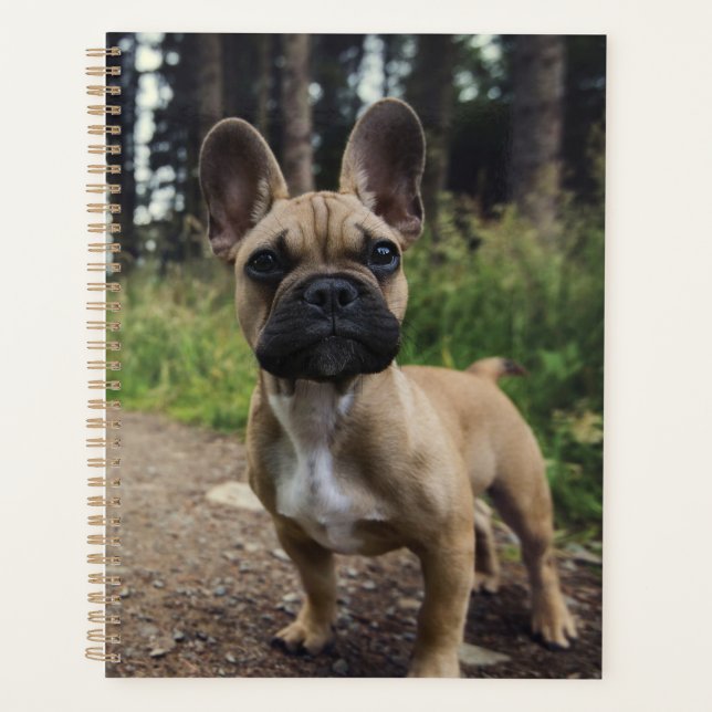 French Bulldog Throw Pillow Planer (Vorderseite)