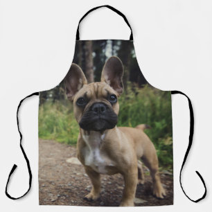 French Bulldog Throw Pillow Schürze