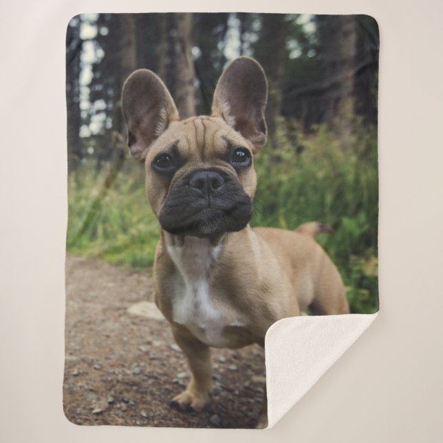 French Bulldog Throw Pillow Sherpadecke (Vorderseite)