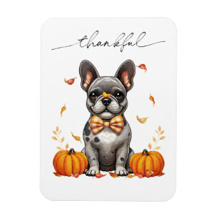 French Bulldog Tolles Herbstlaubs Pumpkins Magnet