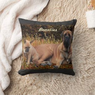 French Bulldog und Mastiff Freunde Kissen