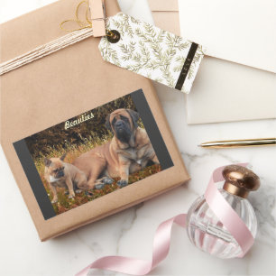 French Bulldog und Mastiff Freunde Rechteckiger Aufkleber