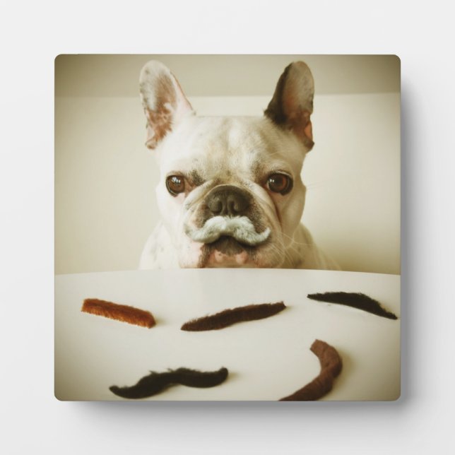 French Bulldog With A Mustache Fotoplatte (Vorderseite)