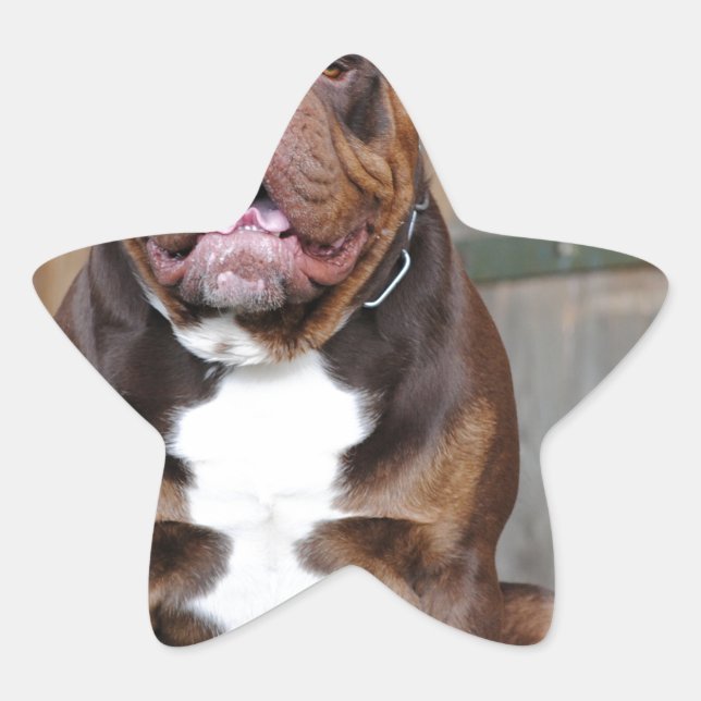 French Mastiff Stern-Aufkleber (Vorderseite)