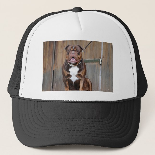 French Mastiff Truckerkappe (Vorderseite)