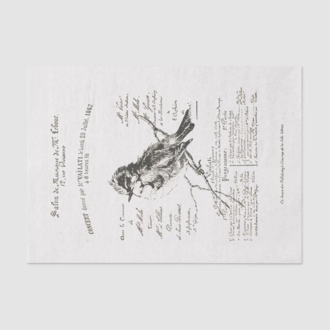French Music Salon Bird Script Tissue Paper Seidenpapier (Vorderseite)