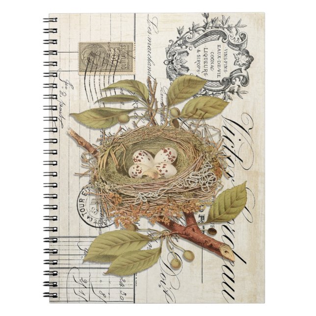 French Nest mit Eggs Spiral Journal Notebook Notizblock (Vorderseite)