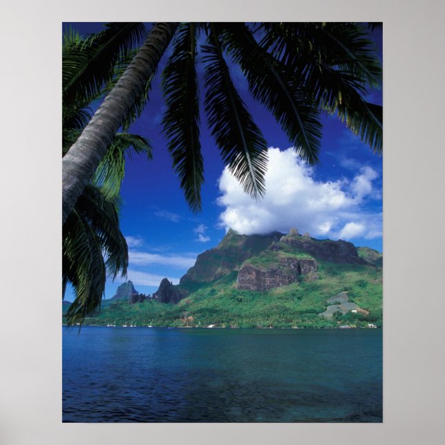 French Polynesia, Moorea. Cooks Bay. Green Poster (Vorne)