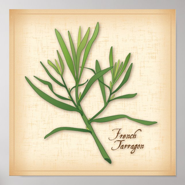 French Tarragon Herb Poster (Vorne)