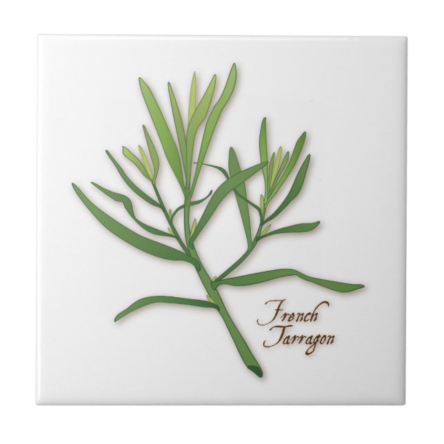 French Tarragon Herb Tile Fliese (Vorderseite)
