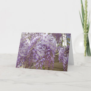 French Wisteria Feiertagskarte