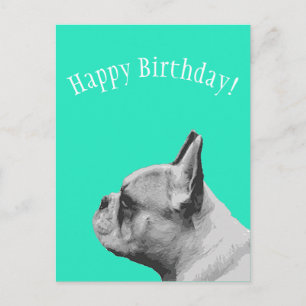 Frenchie   Aqua-farbener Alles Gute zum Geburtstag Postkarte