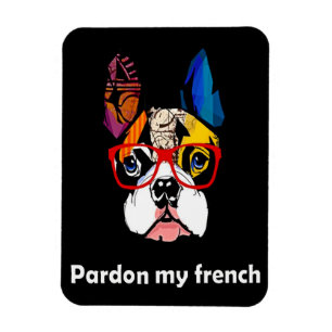 Frenchie Gift Entschuldigung, mein Französischer Magnet