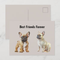 Frenchie Hunde: Die besten Freunde für immer