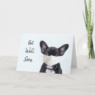 Frenchie in Gesichtsmaske wird gut Karte
