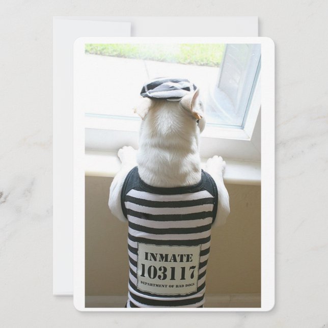 Frenchie Jailbird Bonne carte d'anniversaire (Devant)