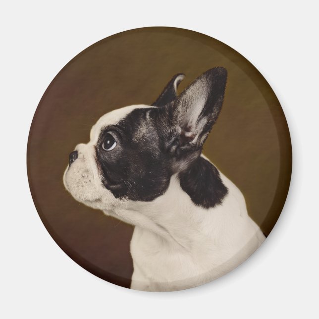 Frenchie Magnet (Vorne)