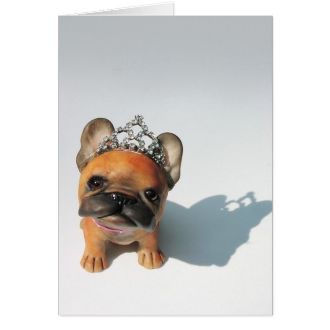 Frenchie Prinzessin (Vorne)