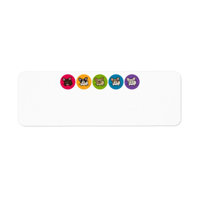 Frenchie Rainbow (Vorne)