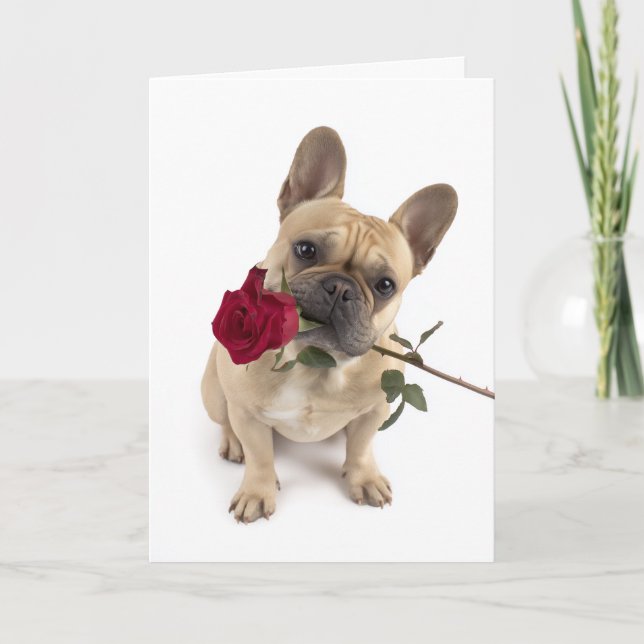 Frenchie Valentine – Große Liebe in kleinen Pakete Karte (Vorderseite)