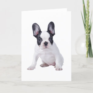 Frenchie - Welpe der französischen Bulldogge Karte