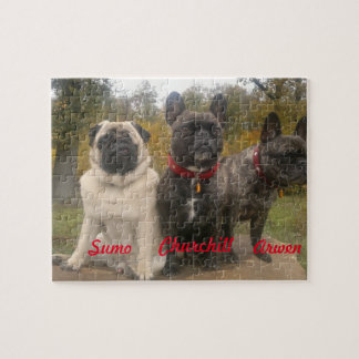 Frenchies u. Möpse