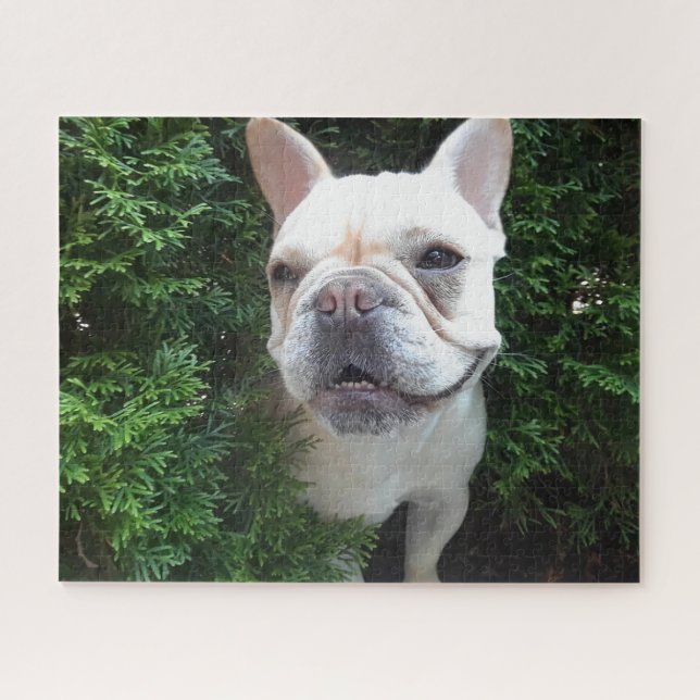 Frenchy auf Streife (Horizontal)