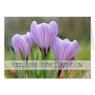 Frère et femme Joyeux crocus pourpres de Pâques