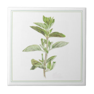 FRESCHER OREGANO 4,25x4,25 Keramikfliese