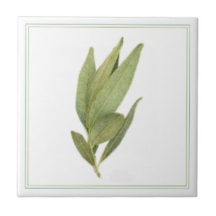 FRESH BAY FEUILLES 4.25x4.25 Carreaux en céramique