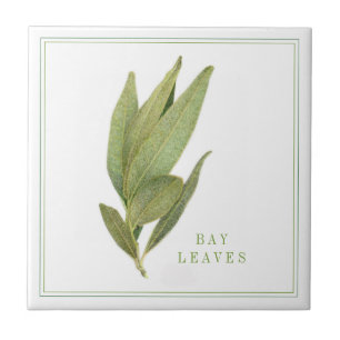 FRESH BAY FEUILLES 4.25x4.25 Carreaux en céramique