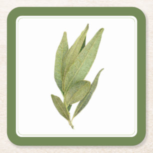 FRESH BAY FEUILLES Carré Dessous de verre papier -