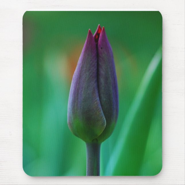 Fresh Bloming Lila Tulip Mouse Pad Mousepad (Vorne)