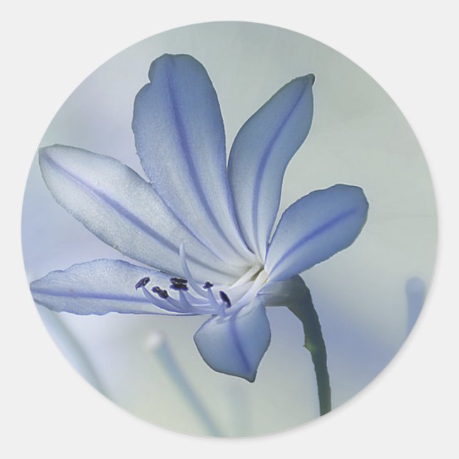 Fresh Blue Blume Foto Runder Aufkleber (Vorderseite)