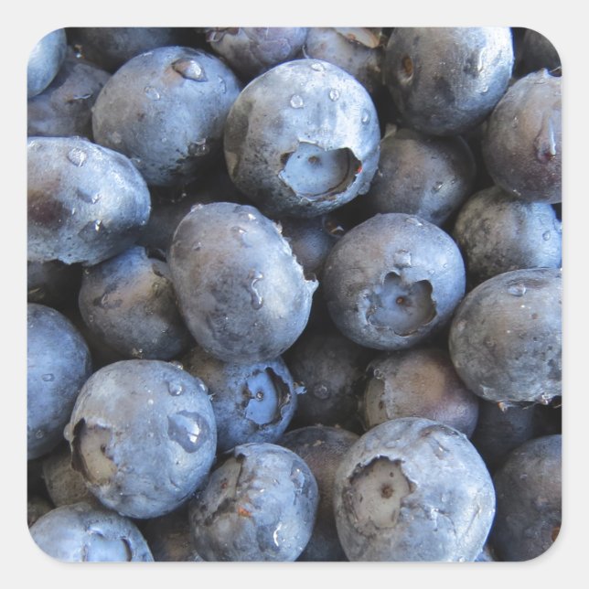 Fresh Blueberries Foto Quadratischer Aufkleber (Vorderseite)