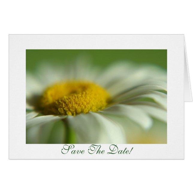 Fresh Daisy (Vorderseite (Horizontal))
