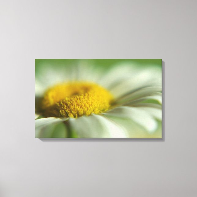 Fresh Daisy Leinwanddruck (Vorderseite)
