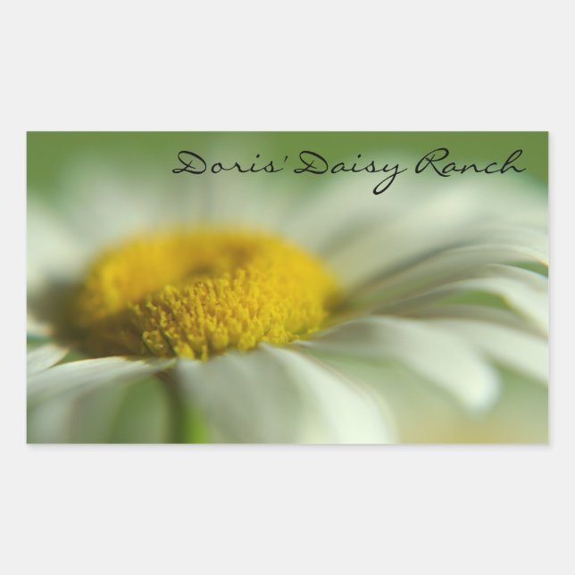 Fresh Daisy Rechteckiger Aufkleber (Vorderseite)