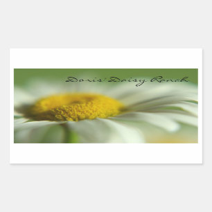 Fresh Daisy Rechteckiger Aufkleber
