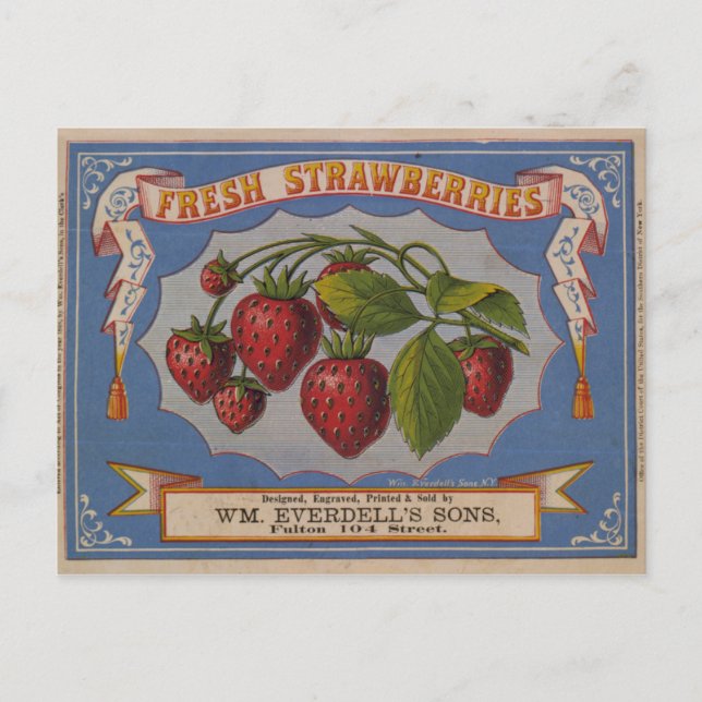 Fresh Erdbeeren Postkarte (Vorderseite)