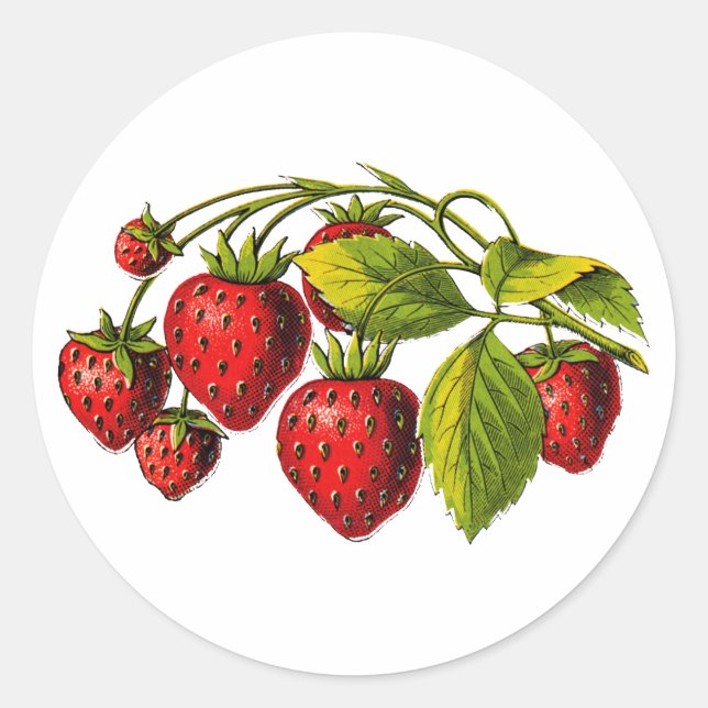 Fresh Erdbeeren Runder Aufkleber (Vorderseite)