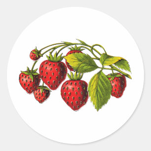 Fresh Erdbeeren Runder Aufkleber
