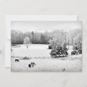 Fresh Fallen Snow at the Horch Feiertagskarte