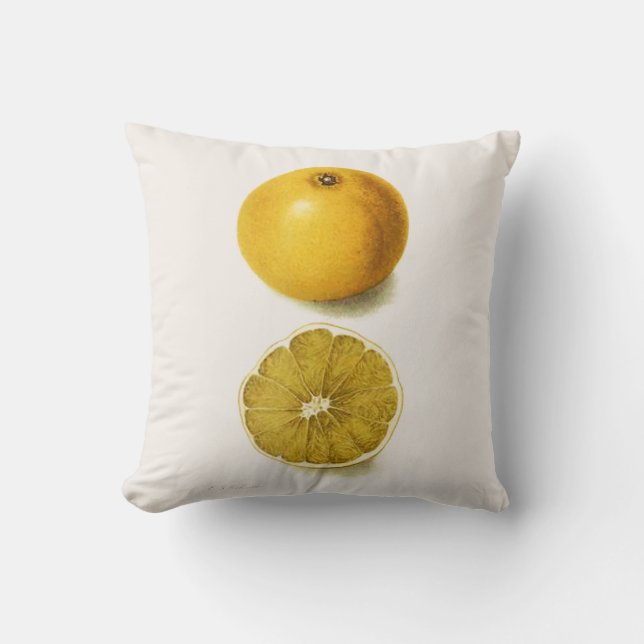 Fresh Grapefruit Kissen (Vorderseite)